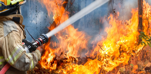 Como se preparar para incêndios florestais na Bay Area